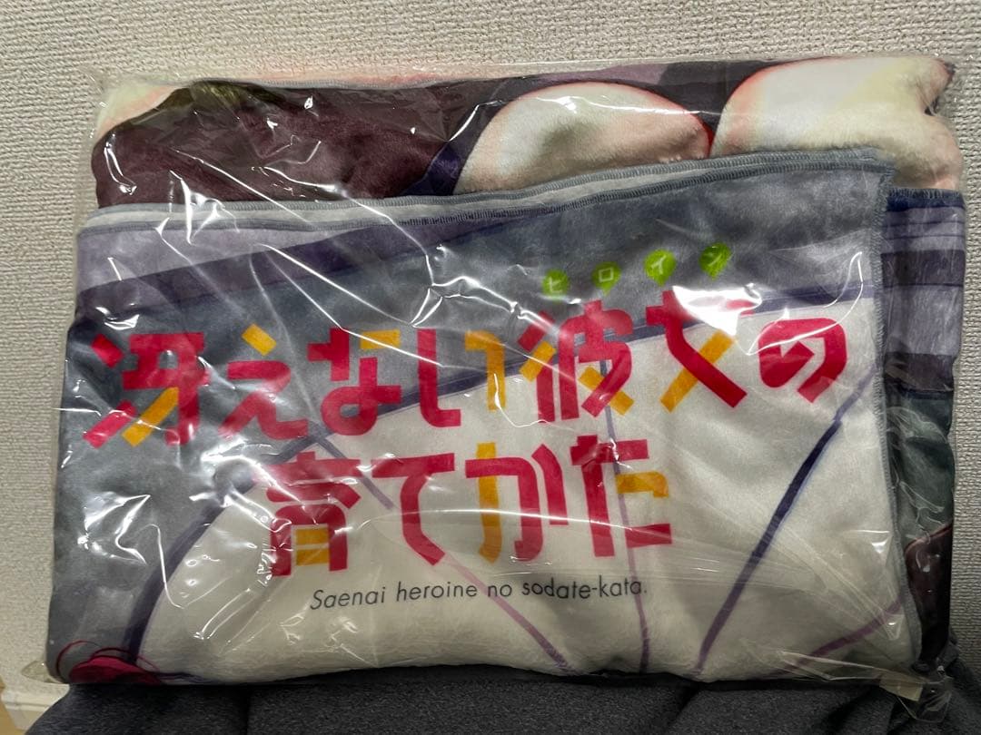 冴えない彼女の育てかた ビッグタオル・クリアポスター・タペストリー