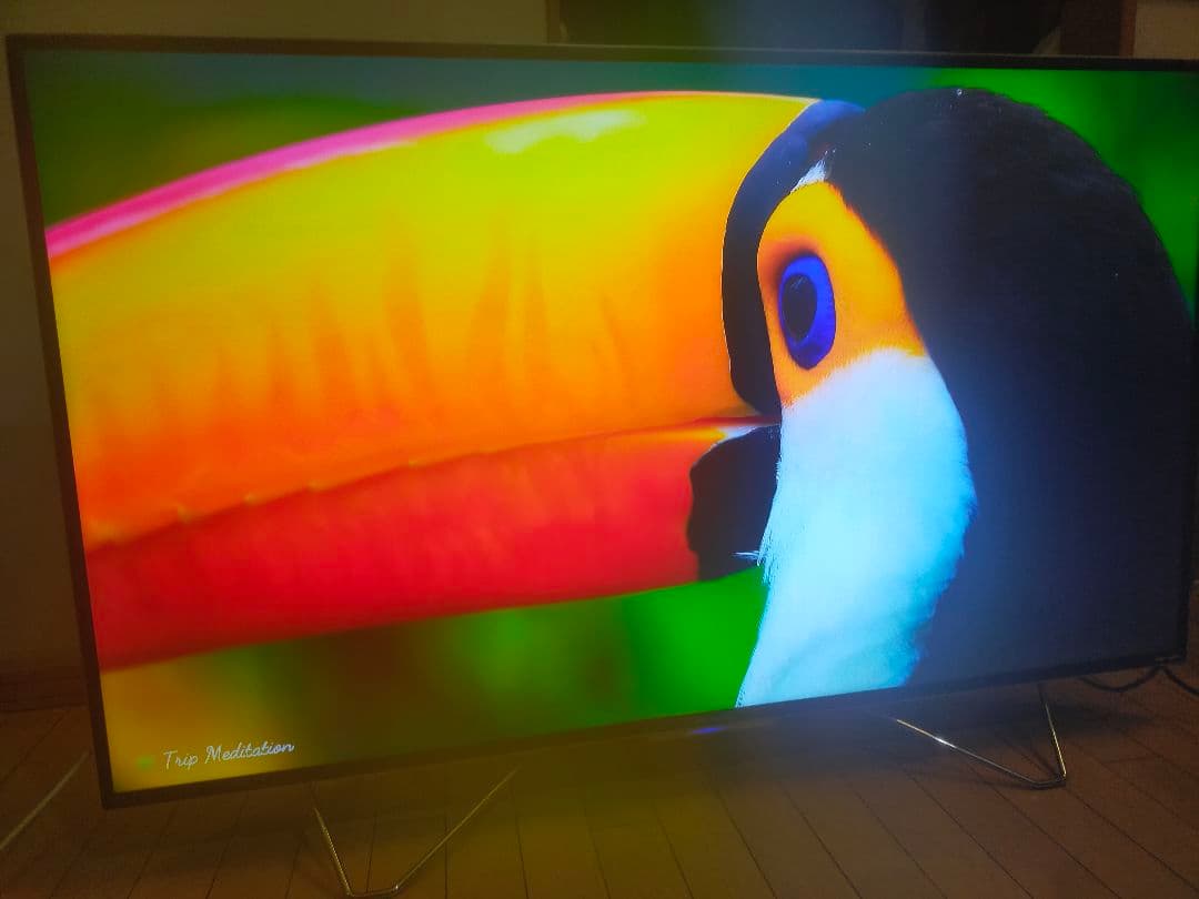 FUNAI FL-55UA6000 3TB内蔵液晶テレビ 高画質・高音質