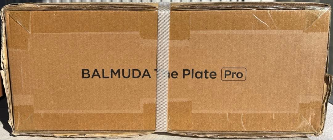 ◼️バルミューダ プレートBALMUDA The Plate ProK10A-BK