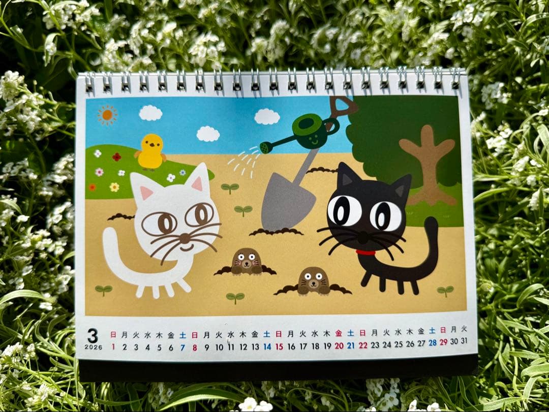 ◆◆『うみさん専用』ゆるふわ園芸やっちゃんねる◆◆