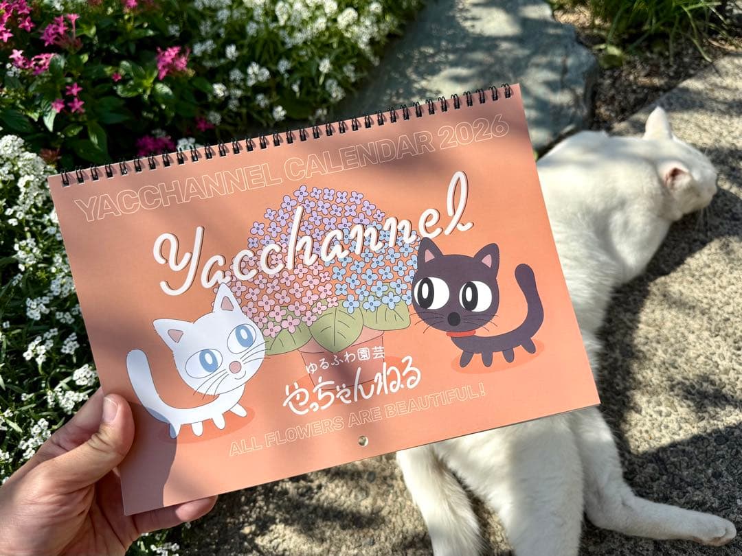 ◆◆『うみさん専用』ゆるふわ園芸やっちゃんねる◆◆