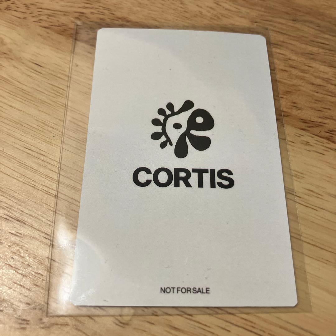 マーティン CORTIS TSUTAYA 特典 トレカ