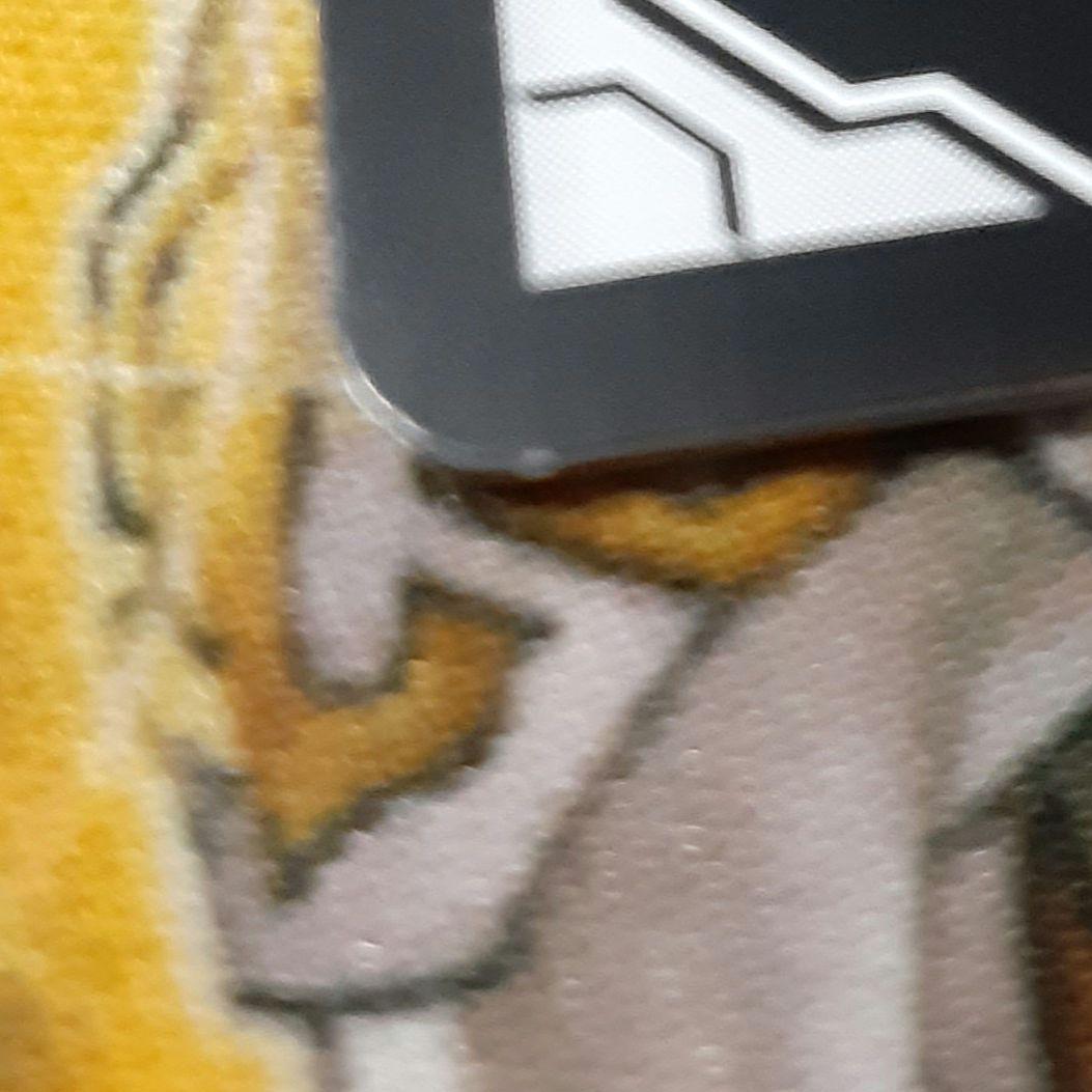 FFR ディヴァインシスター びすこってぃ　ヴァンガード