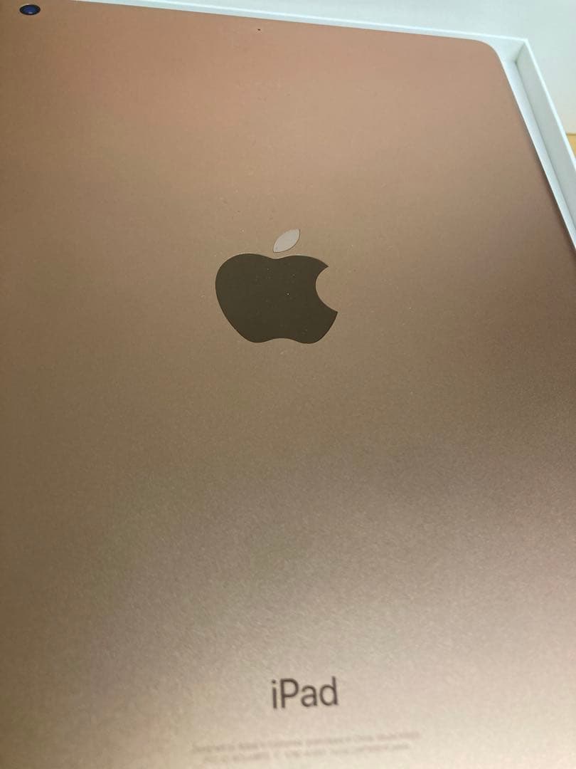 iPad (第6世代) ローズゴールド+ Apple Pencil