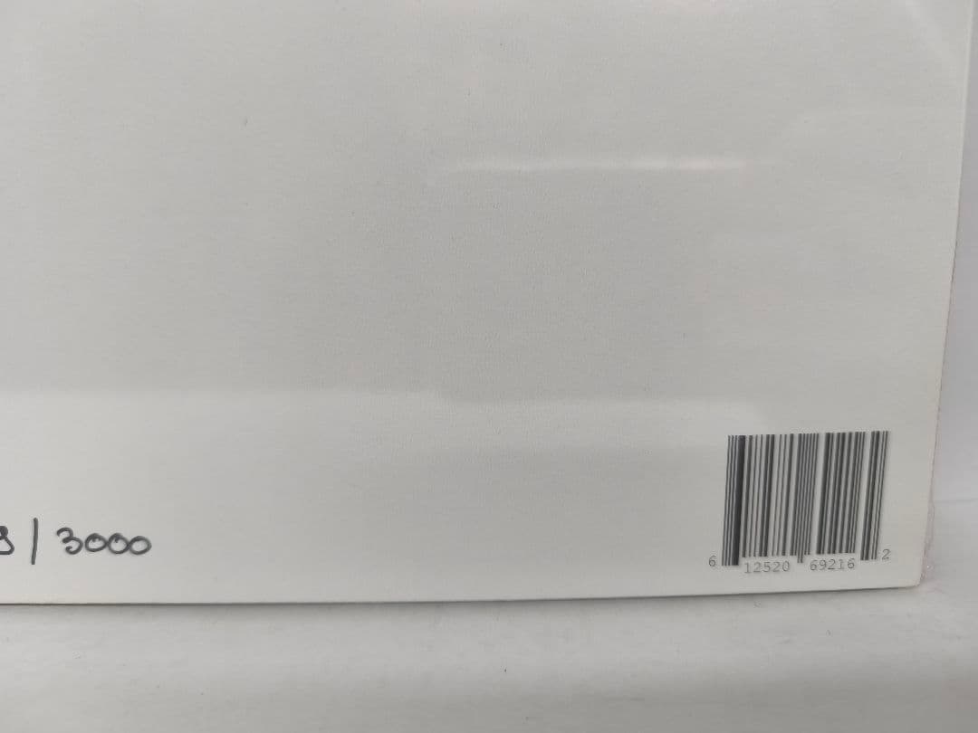 Vulfpeck Vulfmon DEG LP 新品