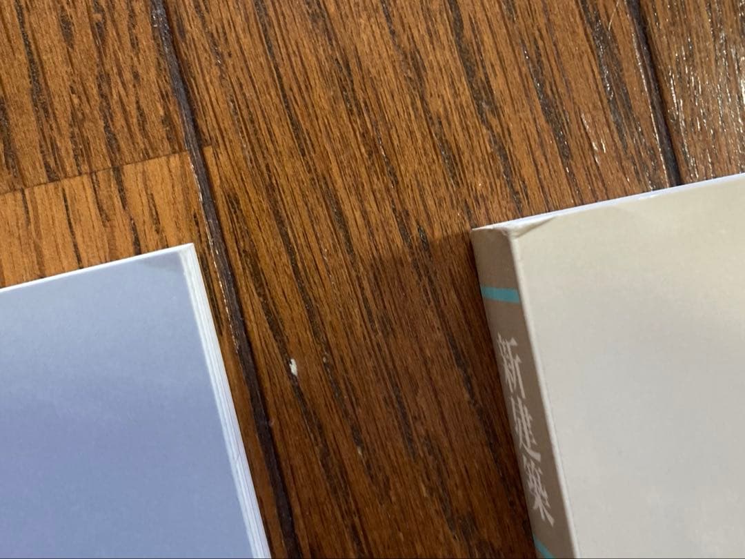 新建築 1991年1,9月臨時増刊 建築20世紀1,2 創刊65周年記念号 2冊