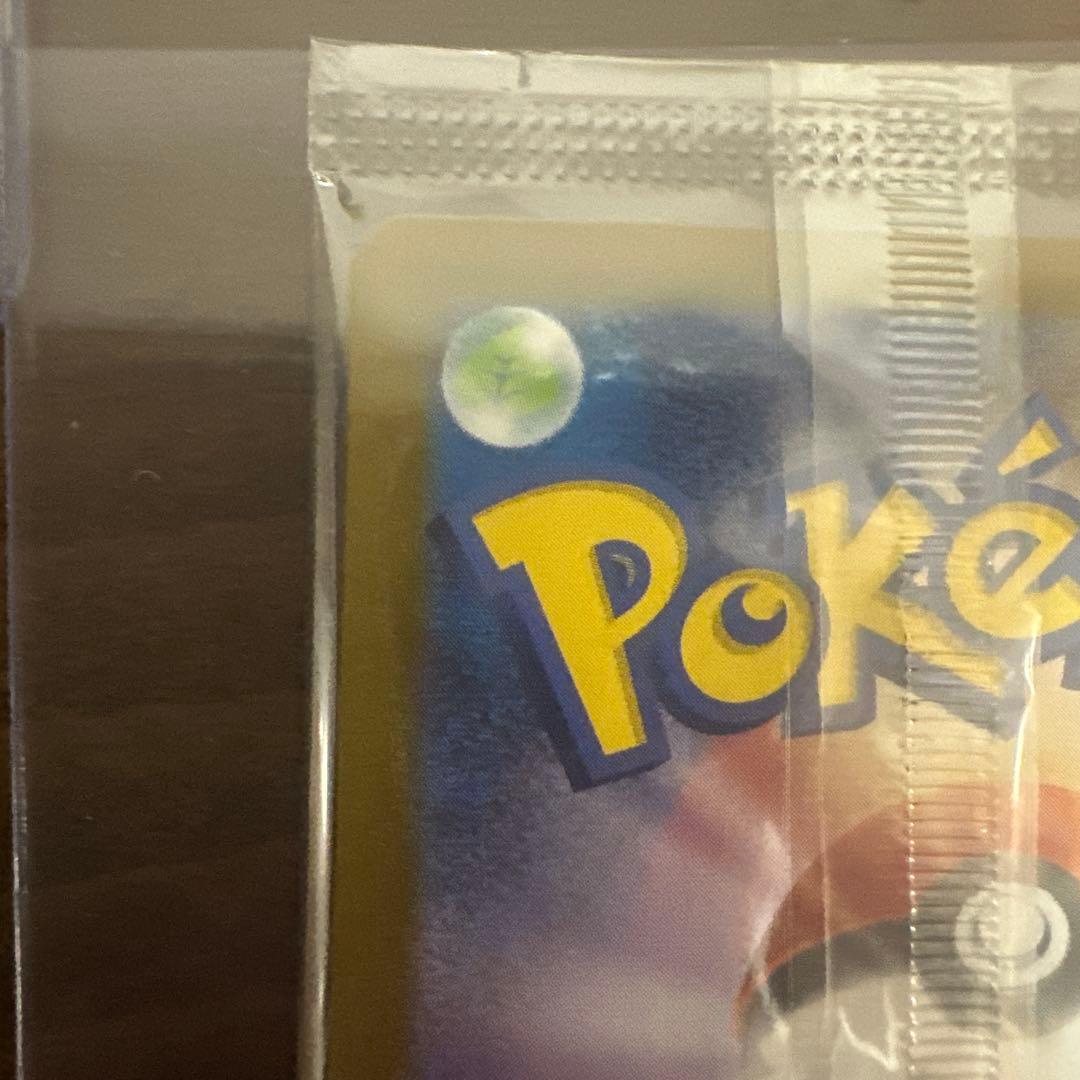 トウホクのピカチュウ