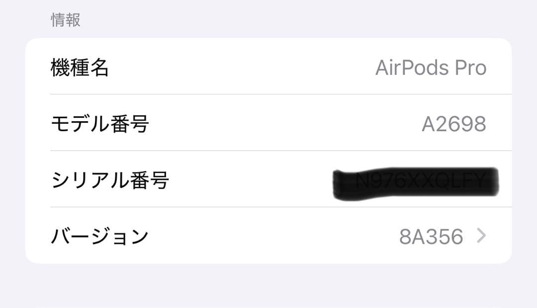 Air Pods Pro （第2世代） イヤホン本体と充電ケース