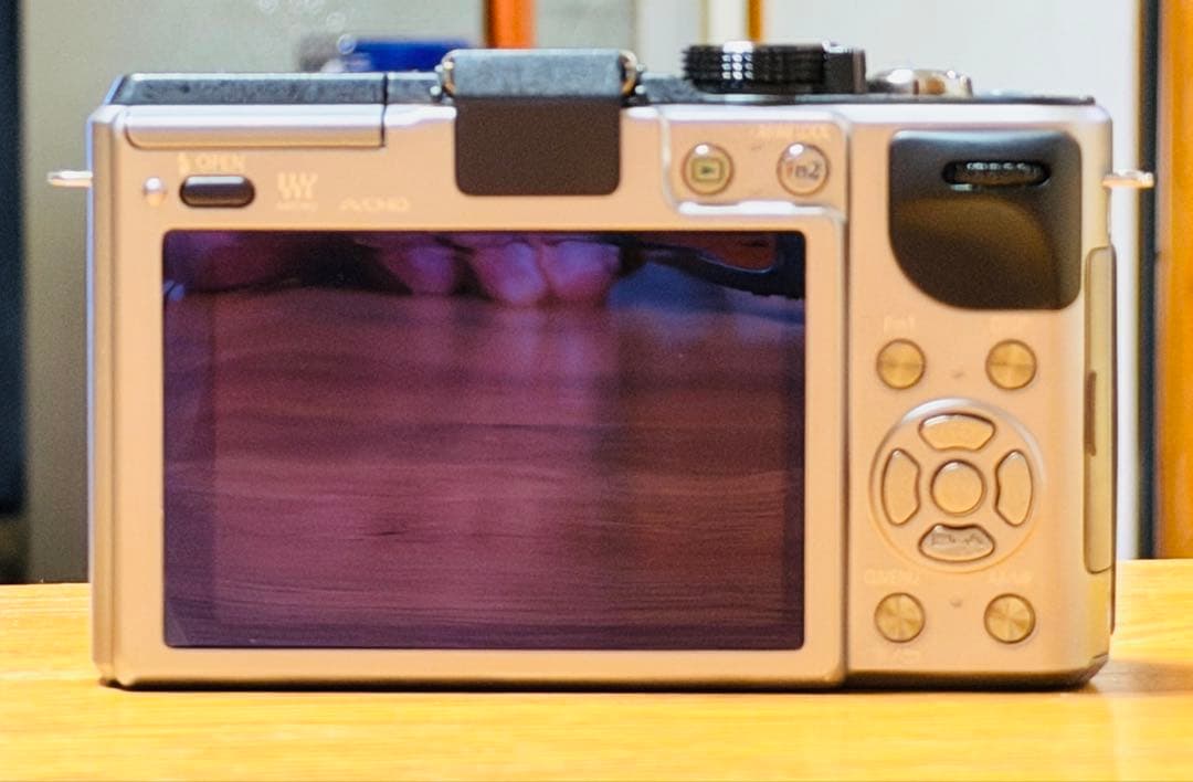 パナソニック LUMIX DMC-GX1 ボディ 美品