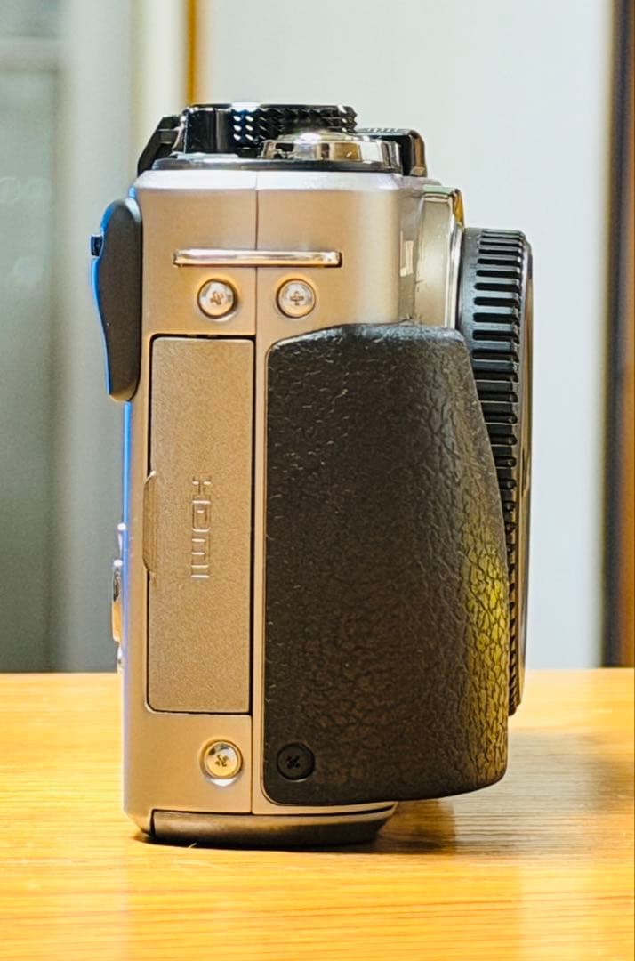 パナソニック LUMIX DMC-GX1 ボディ 美品