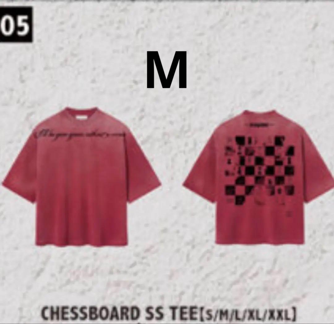 レディーガガ　ツアーTシャツ Mサイズ