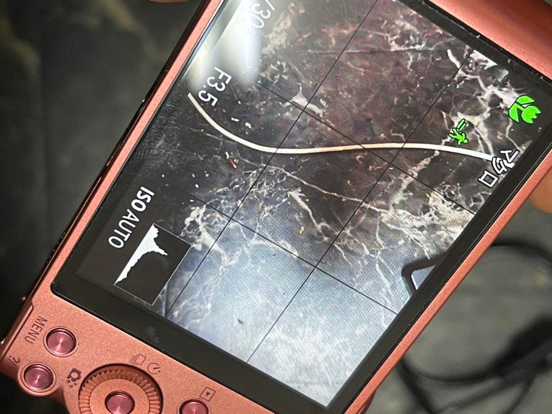 Cyber-shot DSC-WX350 ピンク　動作品