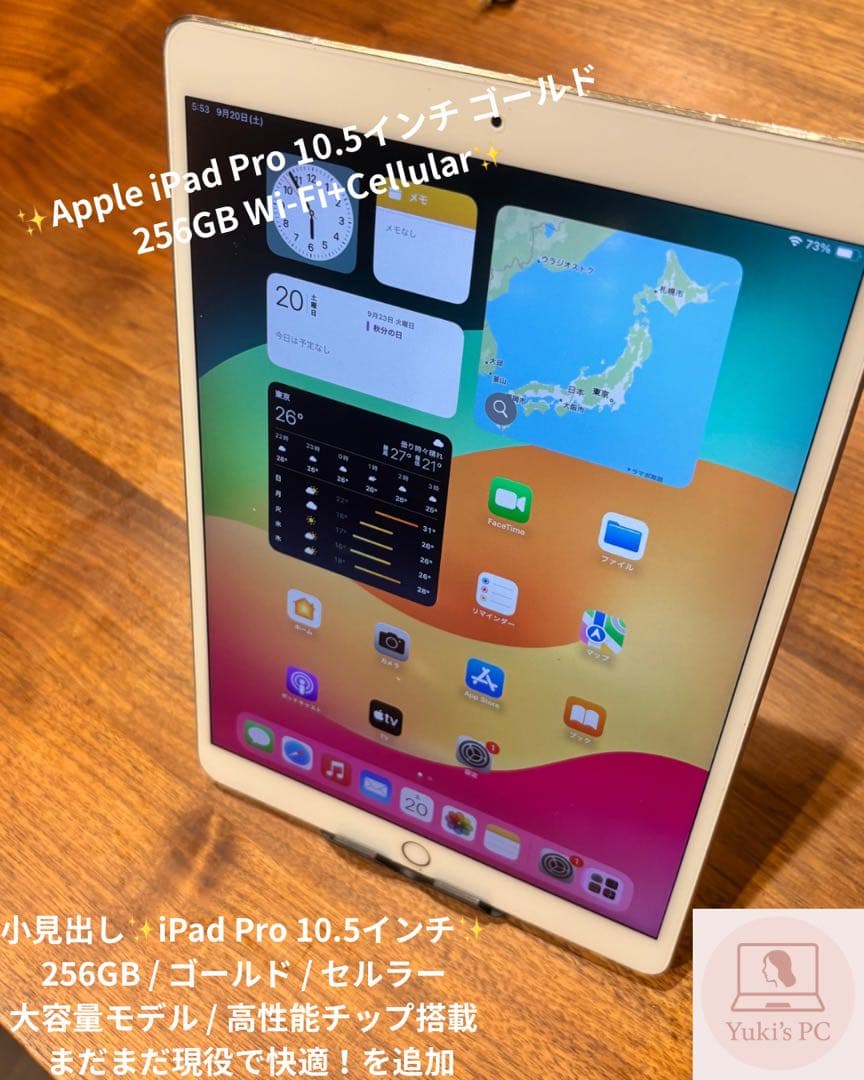 ✨美品✨iPad Pro 10.5インチ256GB WiFi+Cellular✨