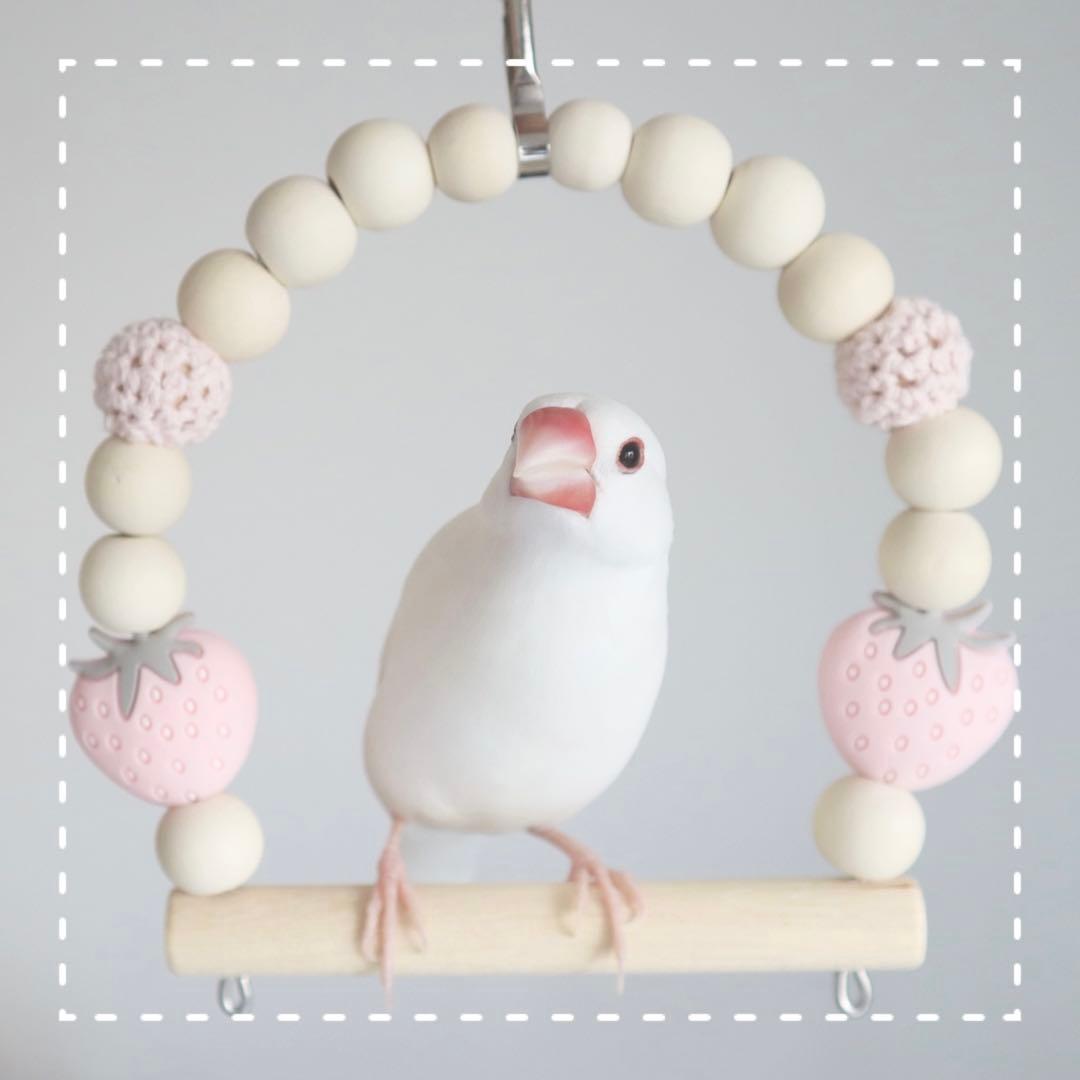 【ほろろん】ことりのおおきなあそびば