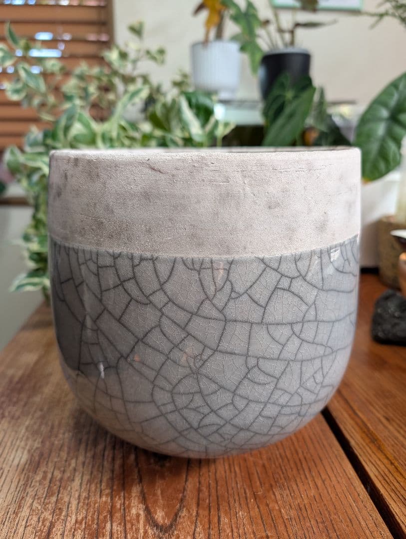 DOMANI ドマーニ MINSK 20cm グレー 鉢