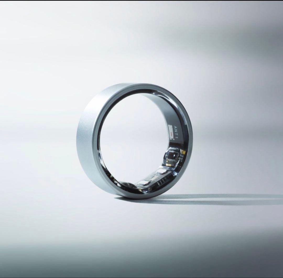 issin スマートリング SmartRecoveryRing シルバー 10