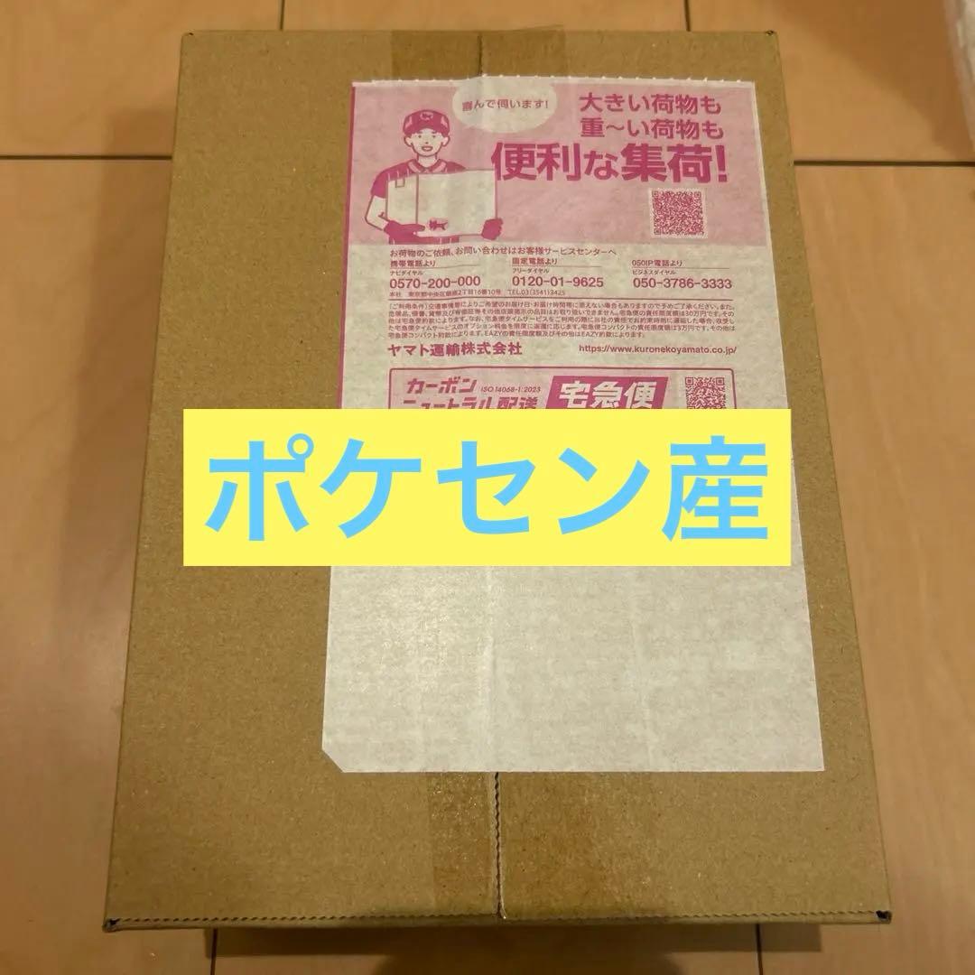 ポケセン産　メガドリーム EX ダンボール未開封