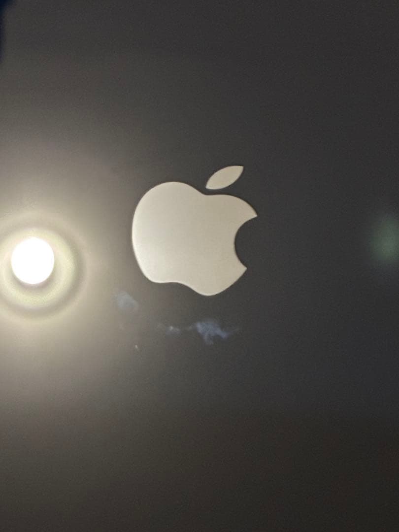 Apple iPhone SE (第3世代) ブラック 本体