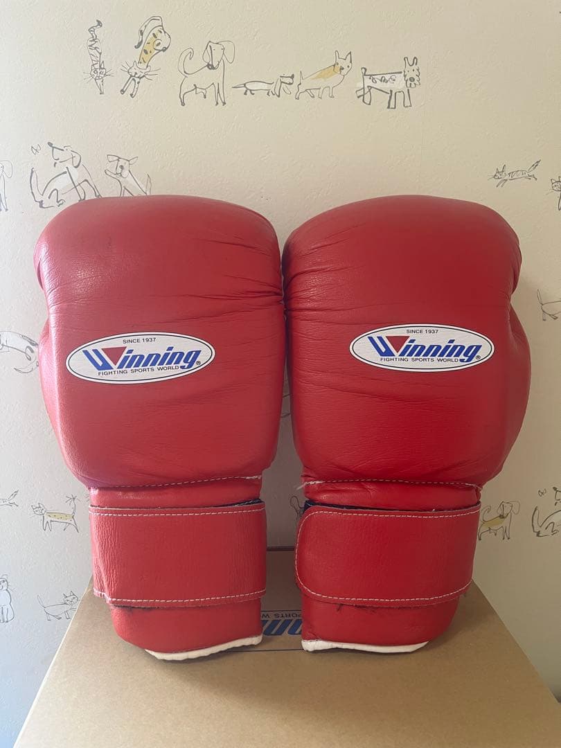 Winning ボクシンググローブ 14oz 赤 ソフトタイプ