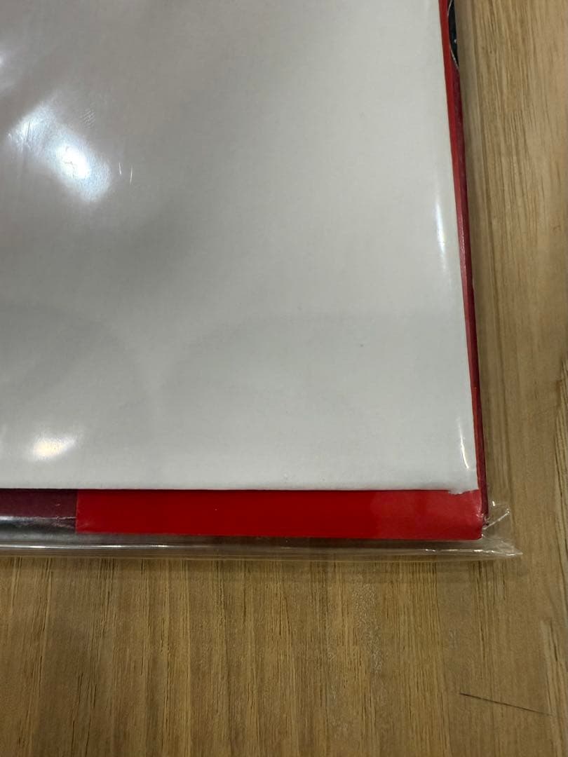 Horsegirl Big Love Records日本限定