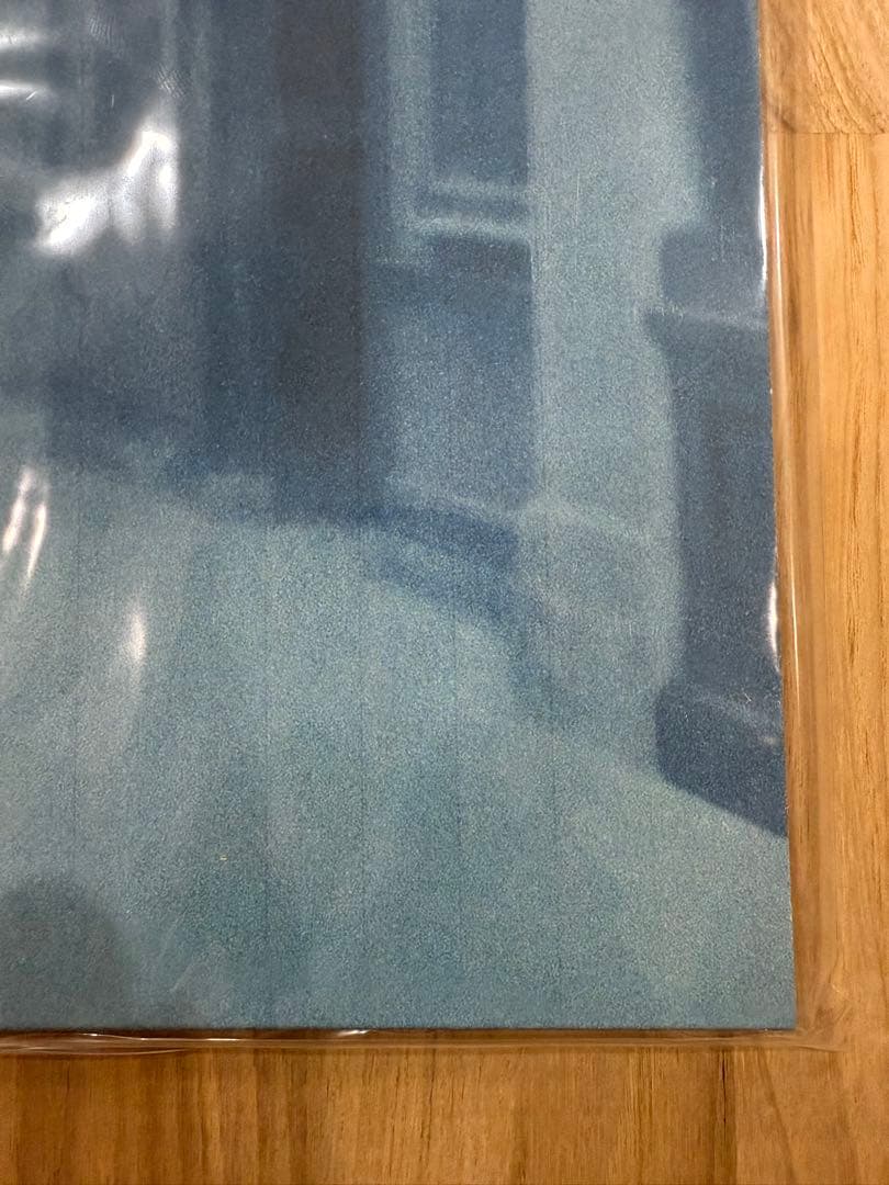 Horsegirl Big Love Records日本限定