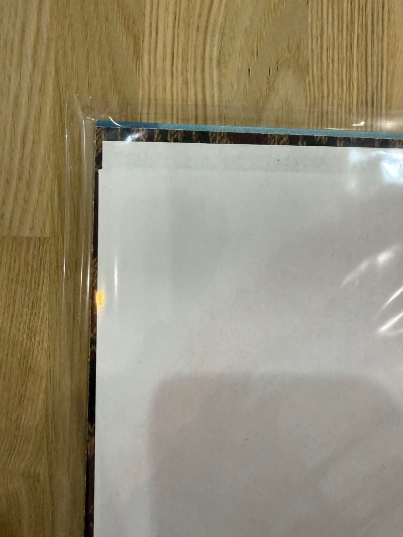 Horsegirl Big Love Records日本限定