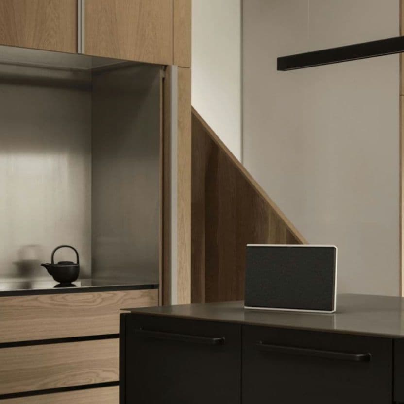 Bang & Olufsen バング&オルフセン Beosound Level