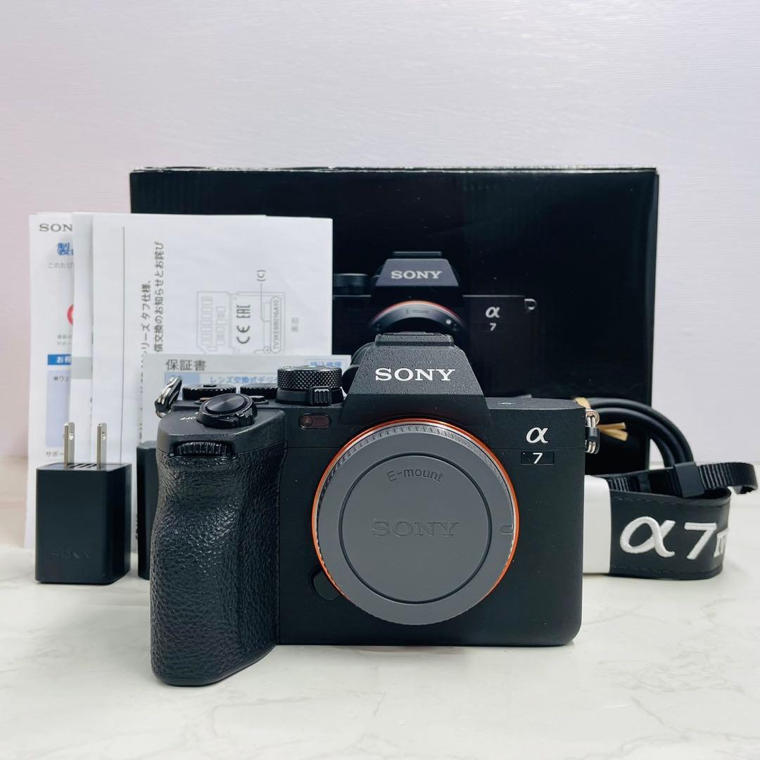 SONY α7Ⅳ ILCE-7M4 ショット数18,764回