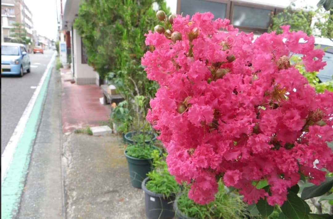 実写美⭕️【動作確認済】Canon PowerShot SX260HS