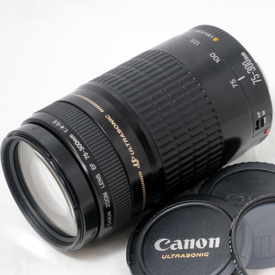 ⭐️美品⭐️Canon キャノン EF 75-300mm F4-5.6 USM