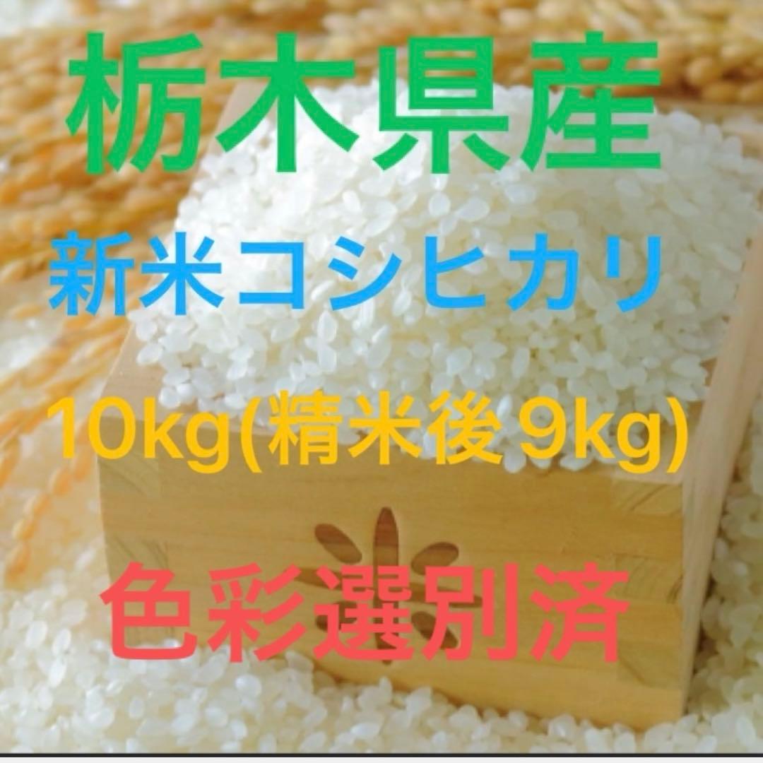 栃木県産 新米コシヒカリ 10kg