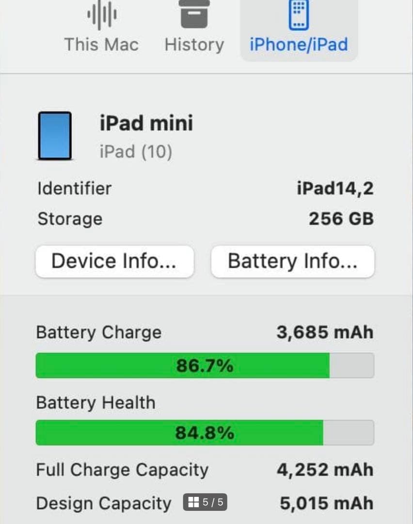 【美品】iPad mini 6 256GB WiFi+Cellular