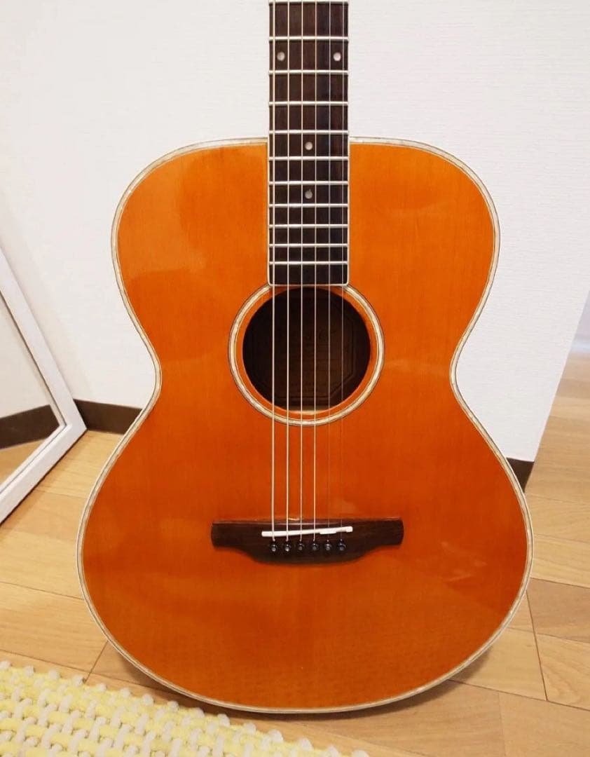 ギター ARIA Meister AMS-01