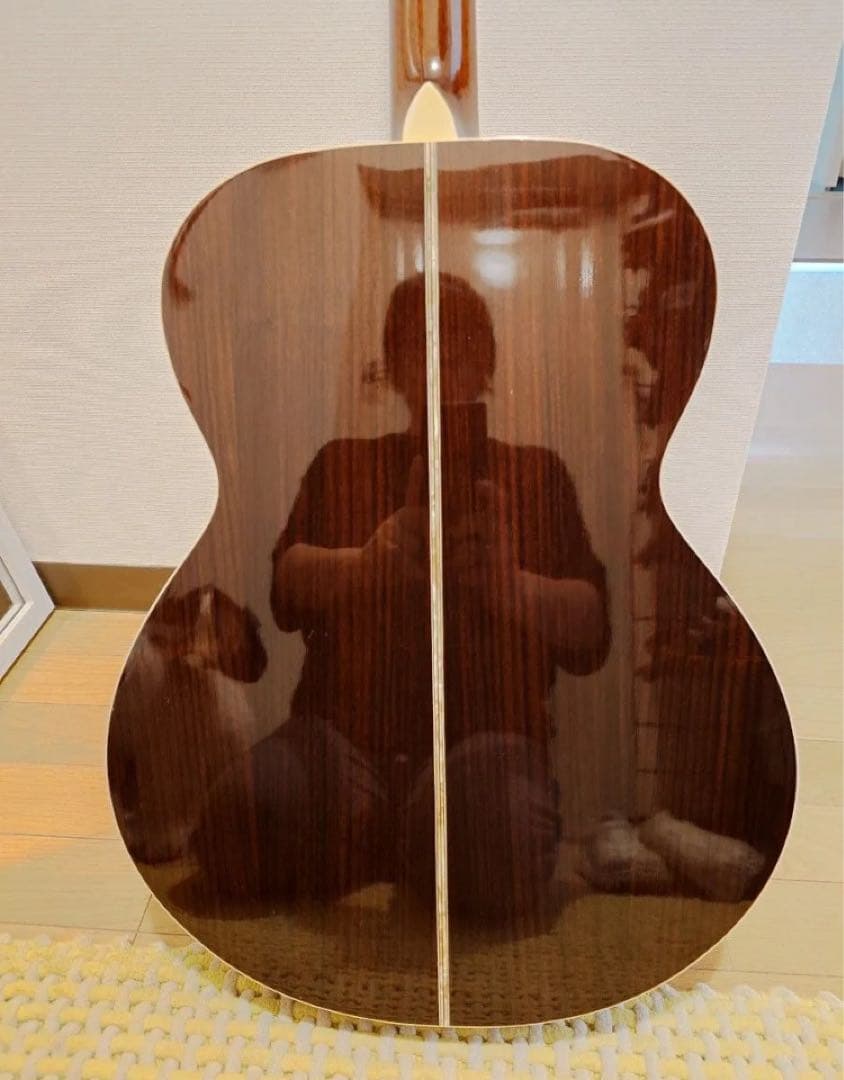 ギター ARIA Meister AMS-01