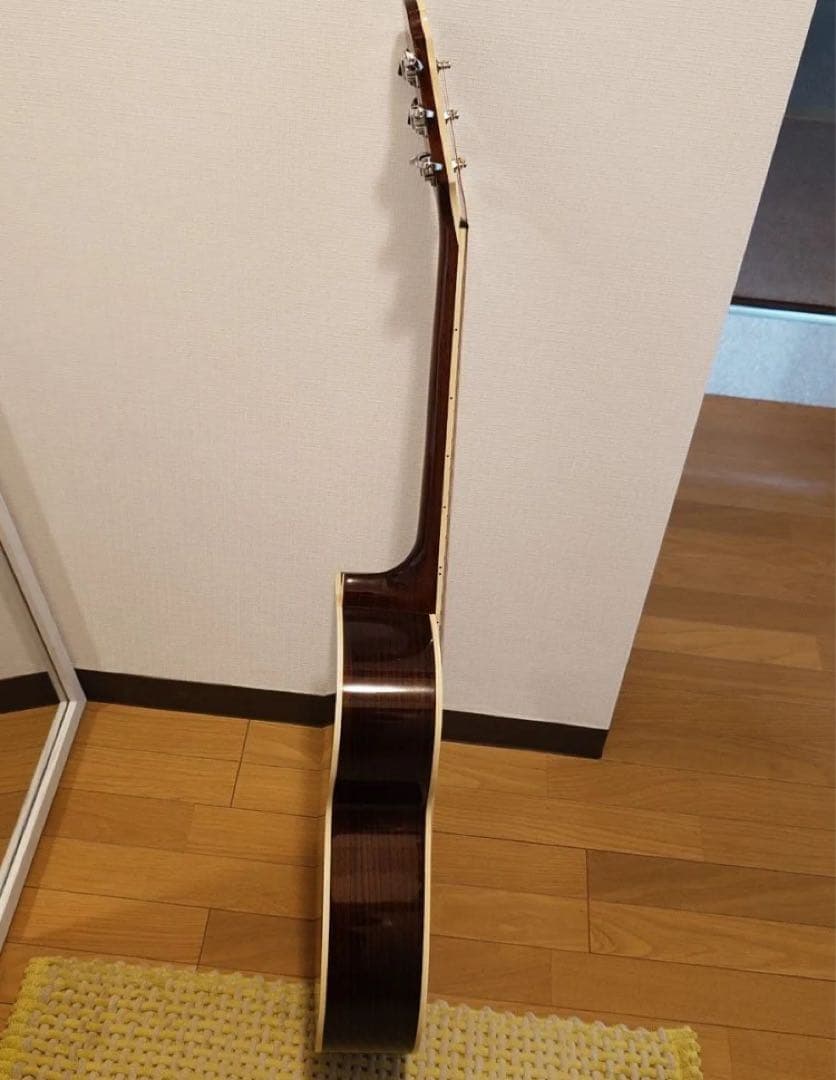 ギター ARIA Meister AMS-01