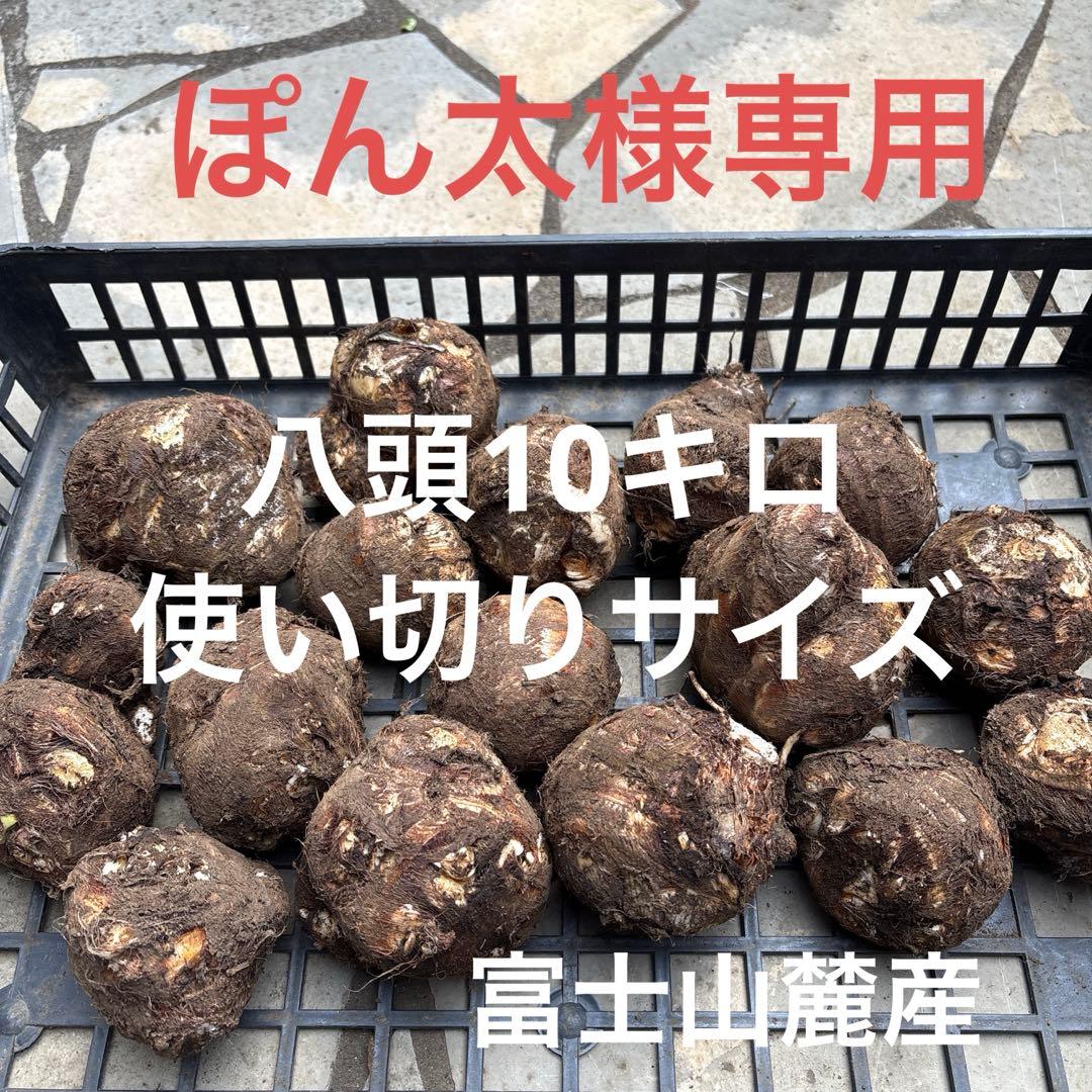 里芋　八頭 ぽん太10キロ 富士山麓産