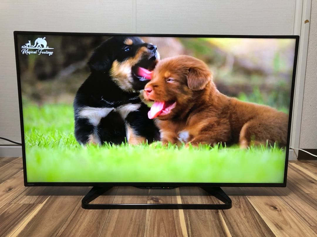 シャープ 40V型液晶テレビ AQUOS LC-40W35 2016年製