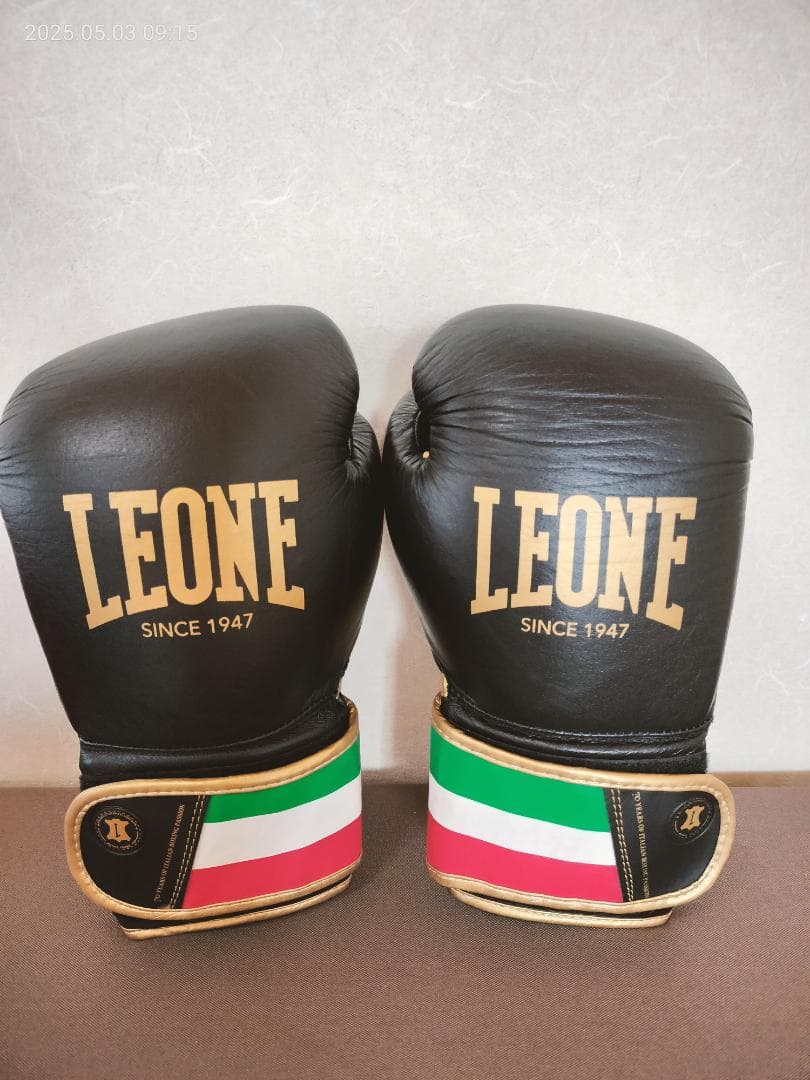 LEONE ボクシンググローブ 14oz 黒