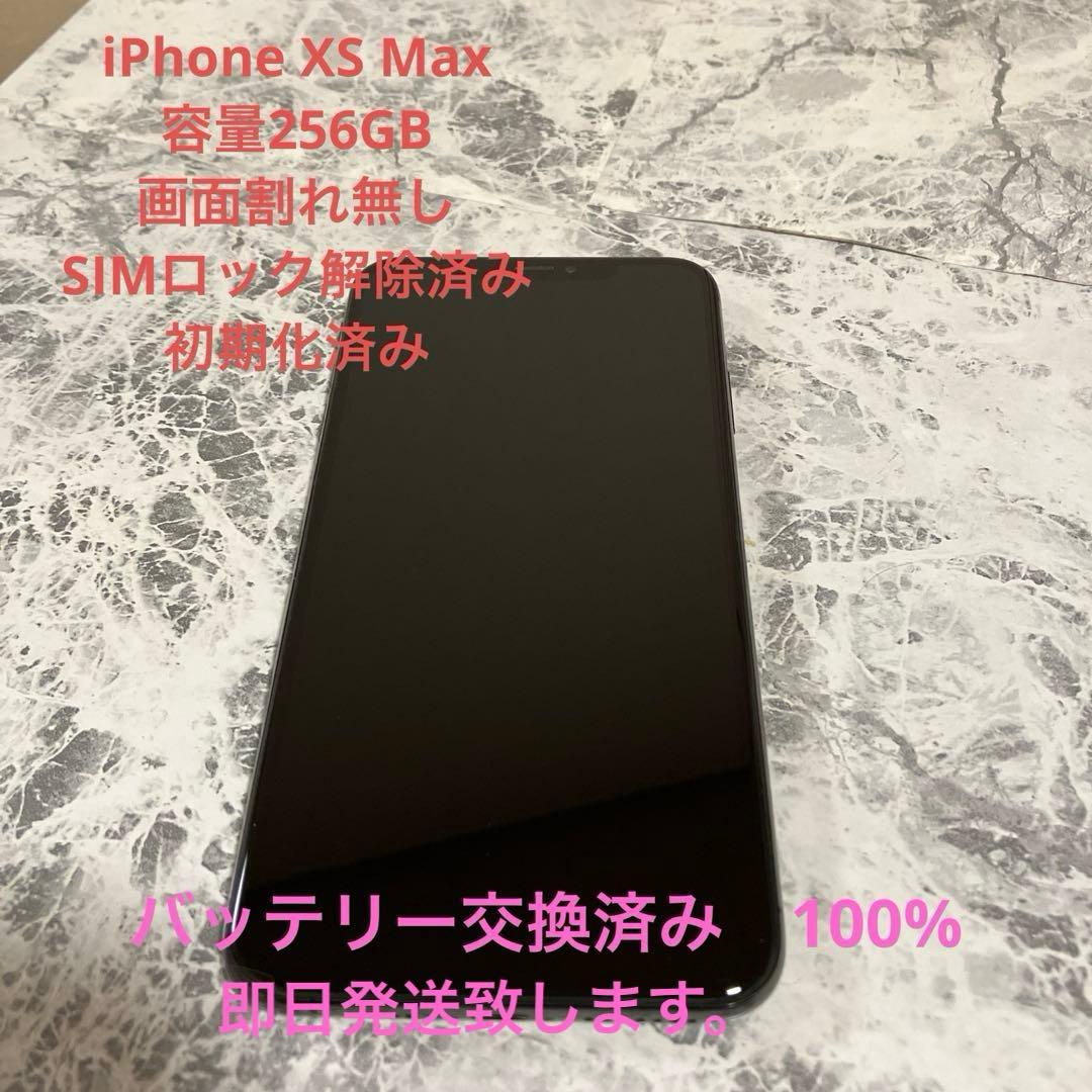 Apple iPhone XSMaxスペースグレー