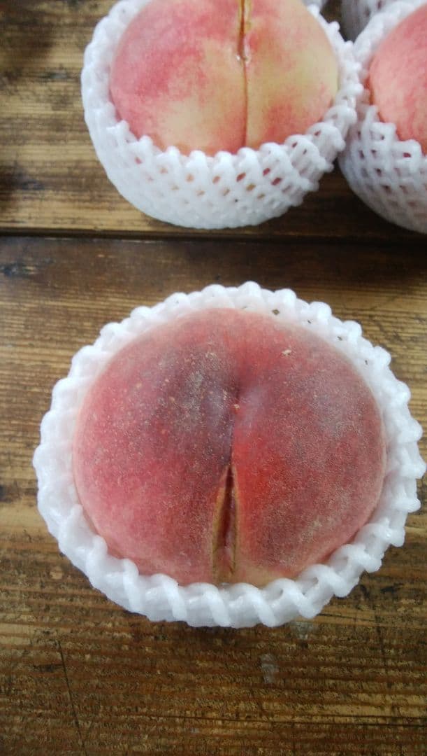 ヨーグルトさん専用　特大　桃　さくら白桃　わけあり　10kg