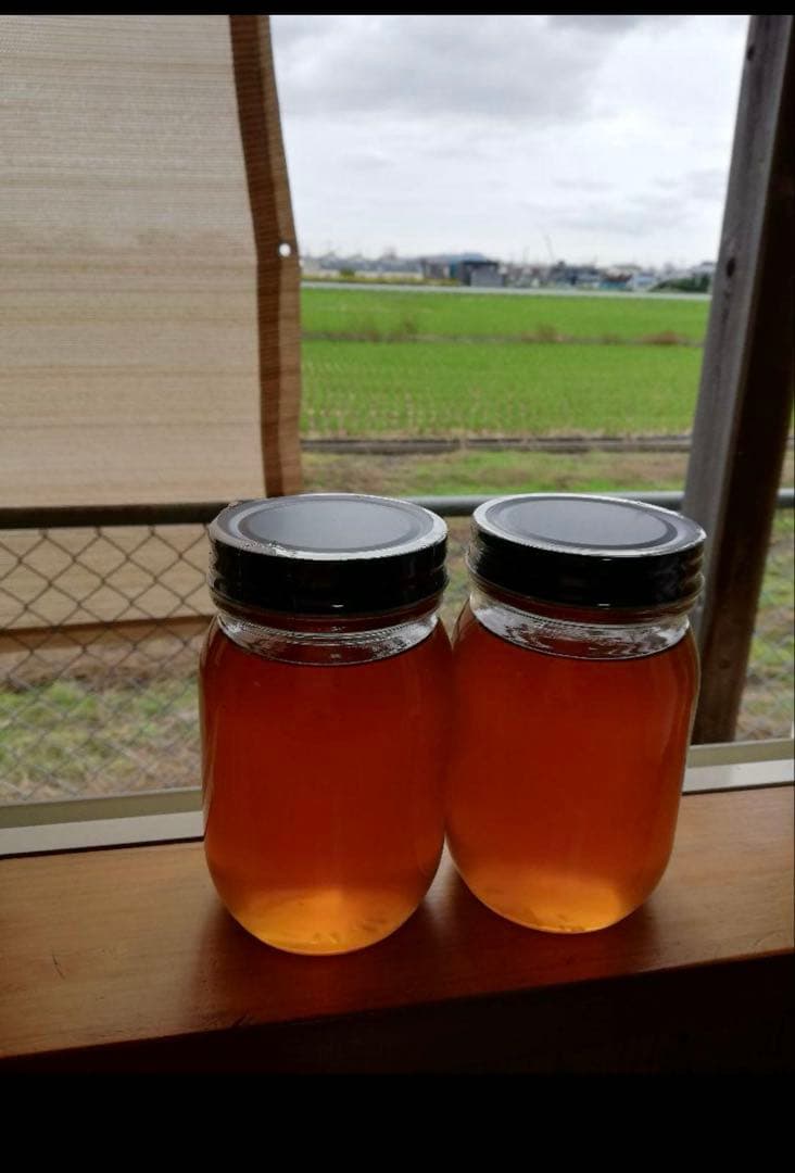 100%天然生ハチミツ　日本ミツバチの蜂蜜620g✖️２本