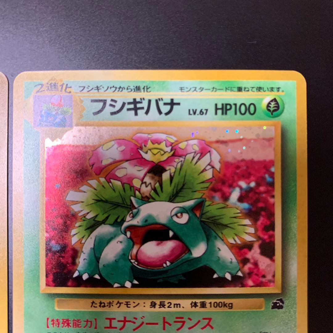 イントロパック　カメックス　フシギバナ　まとめ売り　引退品