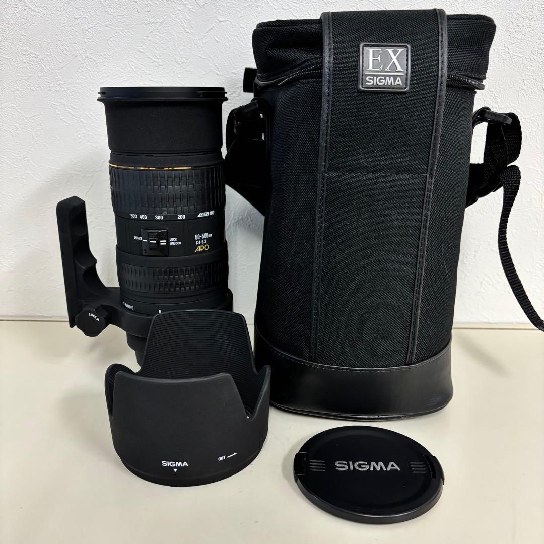 みわ様　SIGMA 50-500mm 4-6.3 APO EX HSM