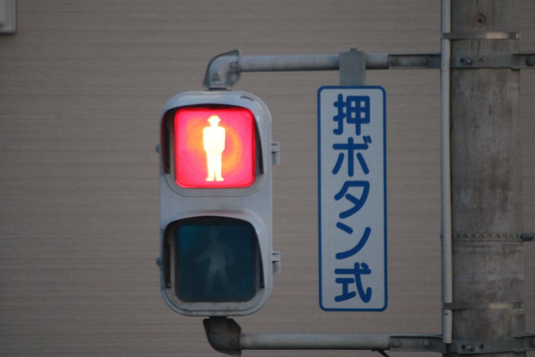 みわ様　SIGMA 50-500mm 4-6.3 APO EX HSM