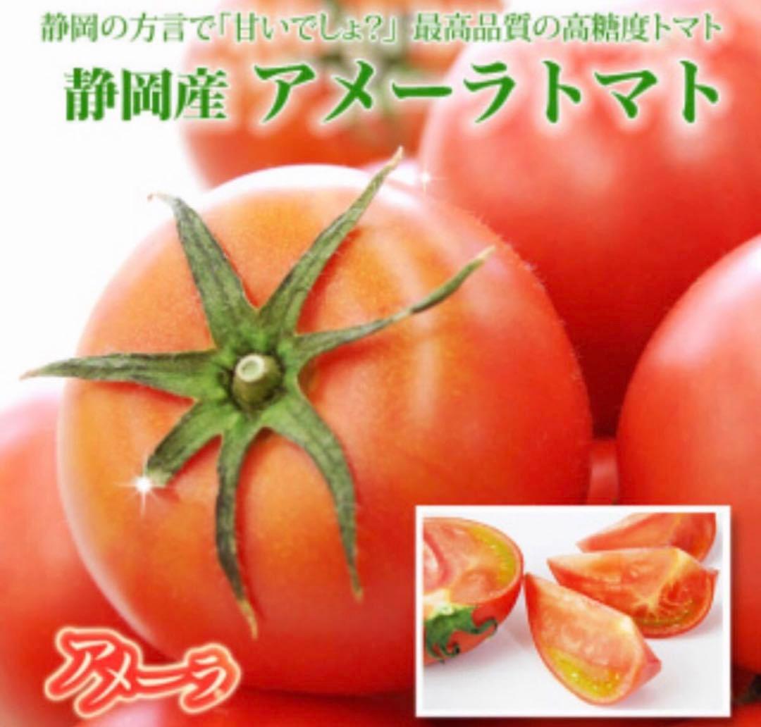 5ケース　アメーラトマト　自信あります！　高糖度　フルーツトマト　品質鮮度抜群！