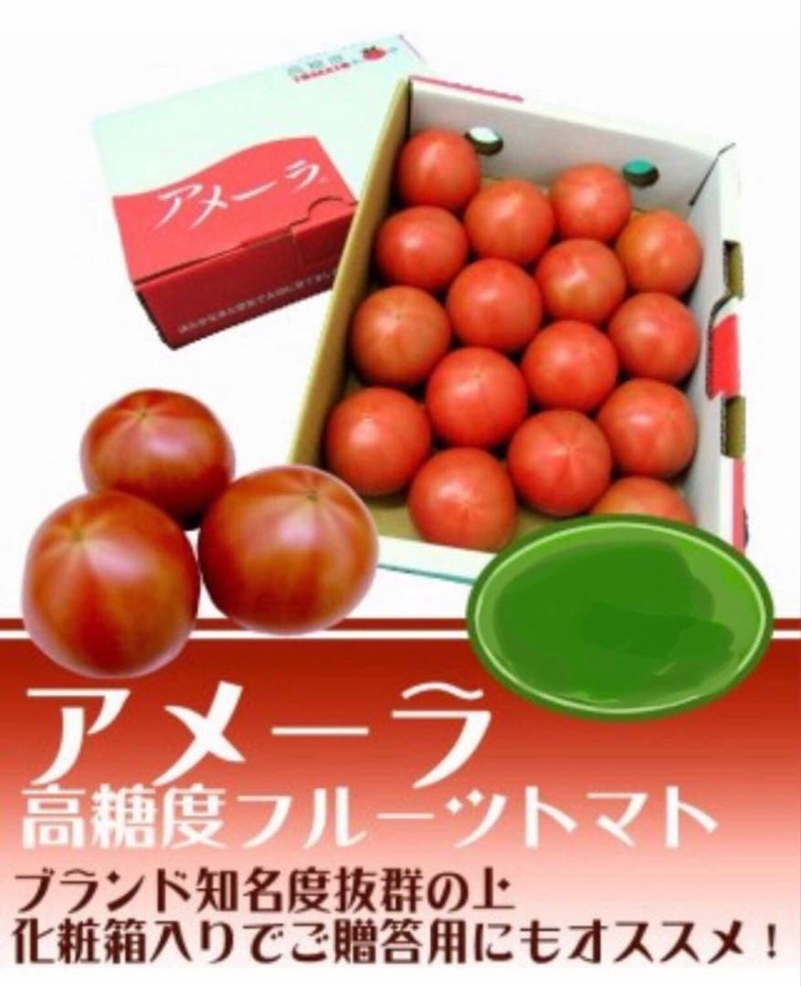 5ケース　アメーラトマト　自信あります！　高糖度　フルーツトマト　品質鮮度抜群！