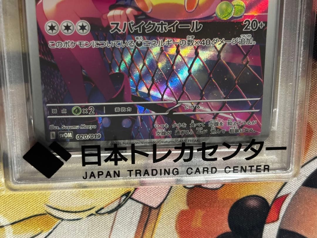 【PSA10】マリィのモルペコ020/019 即購入OK！