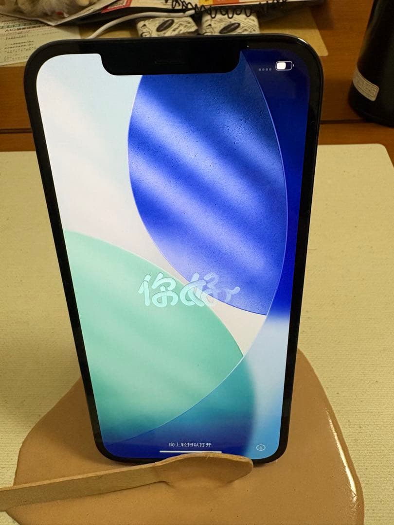 iPhone12 ProMAX 256GB 本体 のみ