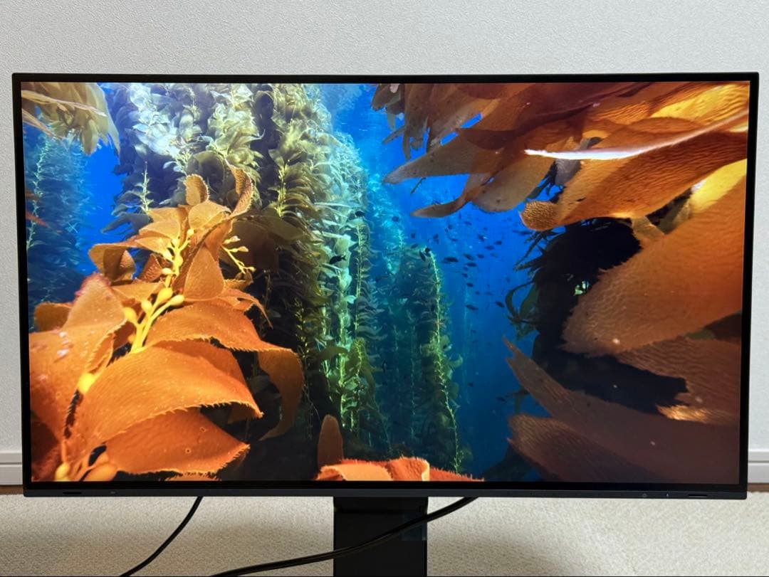 EIZO EV2795 27インチ モニター 2560x1440 LAN付