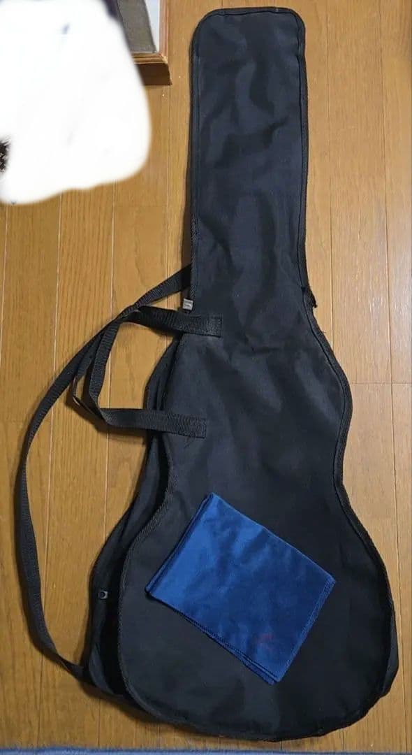 てぃーだマンArt&Lutherie AMI CEDAR BLUE ギター